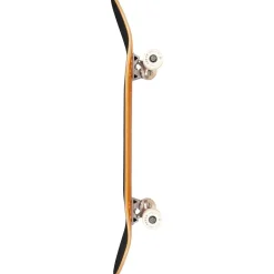 Arbor Street 8.25 Skateboard Complete- Skateboard Completes