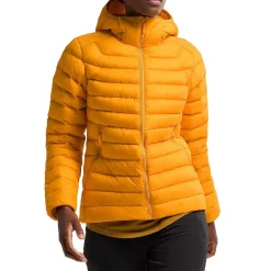 Arc'teryx Cerium Hoodie - Women's-Women Snow Clothing|Casual Clothing