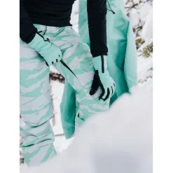 Burton AK Summit GORE-TEX Pants - Women's-Women Snow Clothing|Snowboard Pants & Bibs