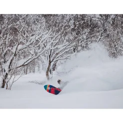 Burton Family Tree 3D Channel Surfer Snowboard 2025- Snowboards