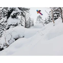 Burton Family Tree Hometown Hero Snowboard + Step On Genesis Snowboard Bindings  + Ion Step On Snowboard Boots 2025- Step On Packages|Snowboard Packages