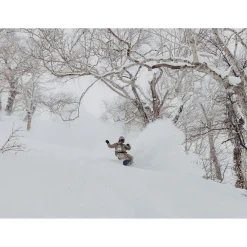 Burton Fish 3D Snowboard + Cartel X Snowboard Bindings 2025- Snowboards With Bindings|Snowboard Packages