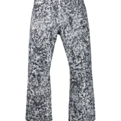 Burton GORE-TEX Ballast Pants- Snow Clothing|Snowboard Pants & Bibs