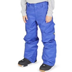 DC Banshee Pants - Boys'-Kids Boys Snow Clothing|Kids Snow Clothing
