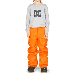 DC Banshee Pants - Boys'-Kids Boys Snow Clothing|Kids Snow Clothing