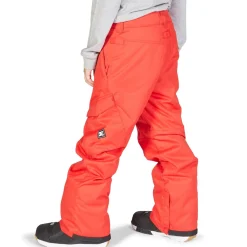 DC Banshee Pants - Boys'-Kids Boys Snow Clothing|Kids Snow Clothing