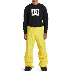 DC Banshee Pants - Men's- Snow Clothing|Snowboard Pants & Bibs