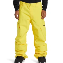 DC Banshee Pants - Men's- Snow Clothing|Snowboard Pants & Bibs