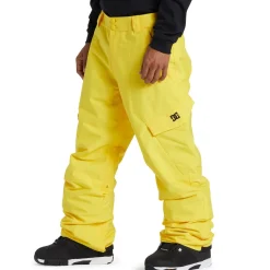 DC Banshee Pants - Men's- Snow Clothing|Snowboard Pants & Bibs