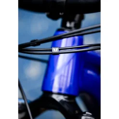 Devinci Troy A 29 NX 12s Complete Mountain Bike 2023- Mountain Bikes