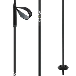 Fischer BC Offtrack Cross Country Poles 2024- Cross Country Skiing