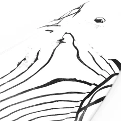 Liquid Force RDX + Classic 6X OT Wakeboard Package 2024- Wakeboard Packages