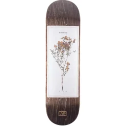 Pass~Port Invasive Species St Johns Wort 8.38 Skateboard Deck- Decks