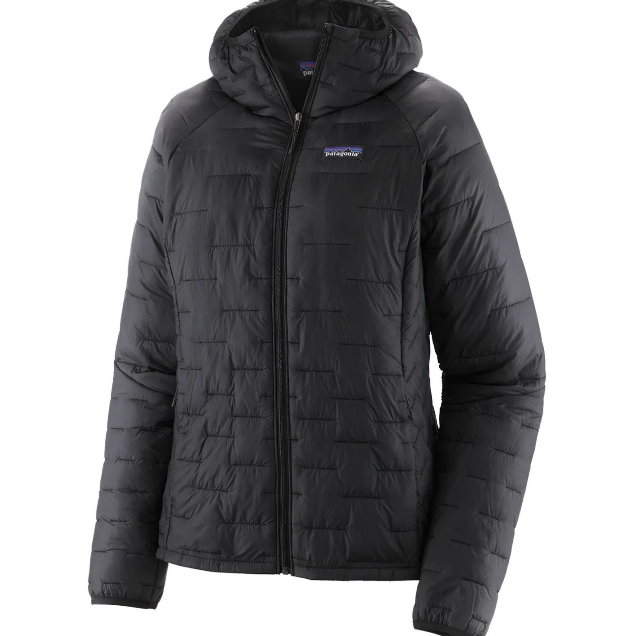 Patagonia Micro Puff Hoodie - Women's-Women Casual Clothing|Snow Clothing