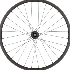 Roval Traverse HD 350 Wheel - 29