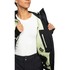 Roxy GORE-TEX Stretch Purelines Jacket - Women's-Women Snow Clothing|Insulated & Puffer Jackets