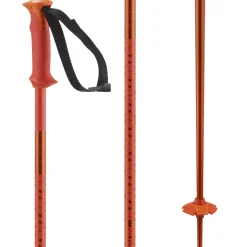 Salomon Polar Ski Poles 2025- Ski Poles