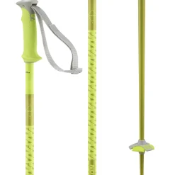 Salomon Polar Ski Poles 2025- Ski Poles