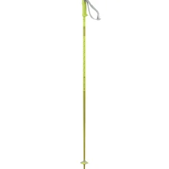 Salomon Polar Ski Poles 2025- Ski Poles