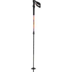 Salomon QST Carbon S3 Ski Poles 2025- Backcountry Skiing|Ski Poles