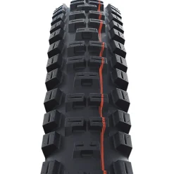Schwalbe Big Betty Tire - 29"- Tires