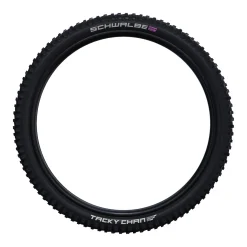 Schwalbe Tacky Chan Tire - 29