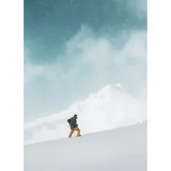 Season Pass Skis 2025 - Used- Backcountry Skiing|Skis