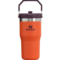 Stanley The IceFlow Flip Straw 20oz Tumbler-Women Active Clothing|Active Clothing
