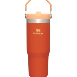 Stanley The IceFlow Flip Straw 30oz Tumbler-Women Active Clothing|Active Clothing