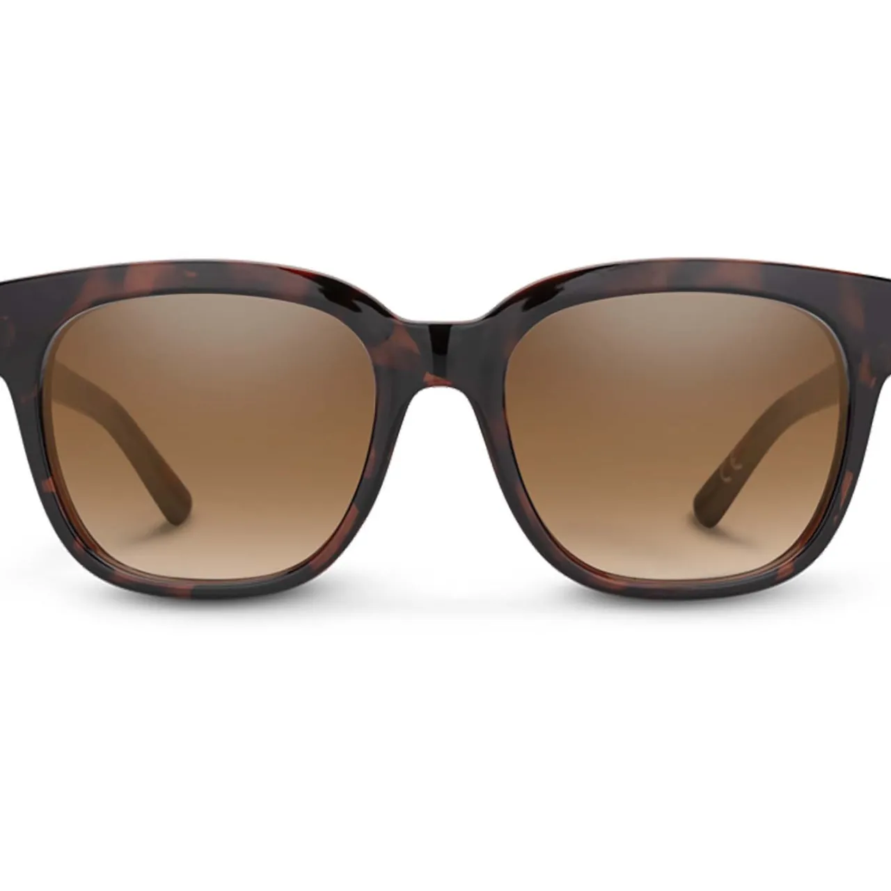 Suncloud Affect Sunglasses-Women Sunglasses|Sunglasses