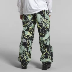 The North Face Build Up Pants - Men's- Snow Clothing|Snowboard Pants & Bibs