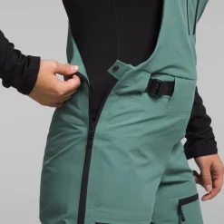 The North Face Ceptor Bibs - Women's-Women Snow Clothing|Snowboard Pants & Bibs