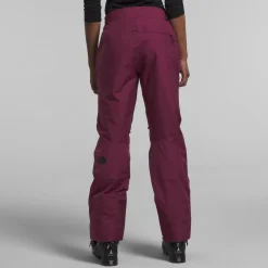 The North Face Dawnstrike GORE-TEX Insulated Pants - Women's-Women Snow Clothing|Snowboard Pants & Bibs