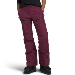 The North Face Dawnstrike GORE-TEX Insulated Short Pants - Women's-Women Short|Snow Clothing