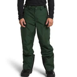 The North Face Dawnstrike GORE-TEX Pants - Men's- Snow Clothing|Snowboard Pants & Bibs