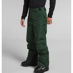 The North Face Dawnstrike GORE-TEX Pants - Men's- Snow Clothing|Snowboard Pants & Bibs