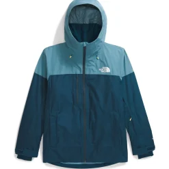 The North Face Dawnstrike GORE-TEX Insulated Jacket - Men's- Snow Clothing|Snowboard Jackets