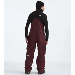The North Face Dragline Bibs - Men's- Snow Clothing|Ski Pants & Bibs