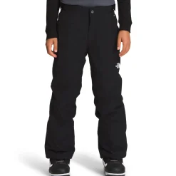 The North Face Freedom Insulated Pants - Boys'-Kids Boys Snow Clothing|Kids Snow Clothing