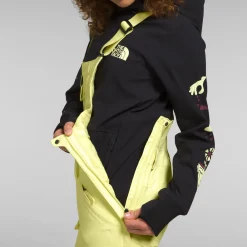The North Face Freedom Insulated Short Bibs - Women's-Women Short|Snow Clothing