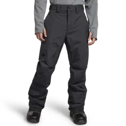 The North Face Freedom Insulated Pants - Men's- Snow Clothing|Snowboard Pants & Bibs