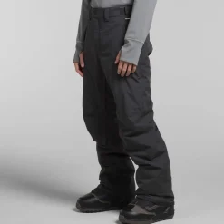The North Face Freedom Insulated Pants - Men's- Snow Clothing|Snowboard Pants & Bibs