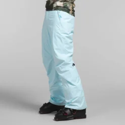 The North Face Freedom Insulated Pants - Men's- Snow Clothing|Snowboard Pants & Bibs