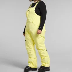 The North Face Freedom Insulated Plus Bibs - Women's-Women Snow Clothing|Snowboard Pants & Bibs