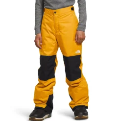 The North Face Freedom Insulated Pants - Boys'-Kids Boys Snow Clothing|Kids Snow Clothing