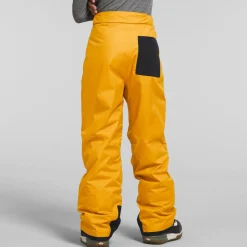 The North Face Freedom Insulated Pants - Boys'-Kids Boys Snow Clothing|Kids Snow Clothing