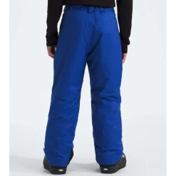 The North Face Freedom Insulated Pants - Boys'-Kids Boys Snow Clothing|Kids Snow Clothing