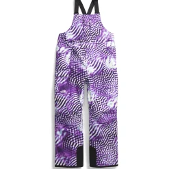 The North Face Freedom Insulated Plus Bibs - Women's-Women Plus|Snow Clothing