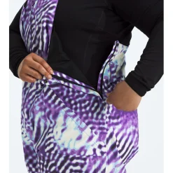 The North Face Freedom Insulated Plus Short Bibs - Women's-Women Short|Plus