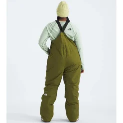 The North Face Freedom Insulated Plus Short Bibs - Women's-Women Short|Plus